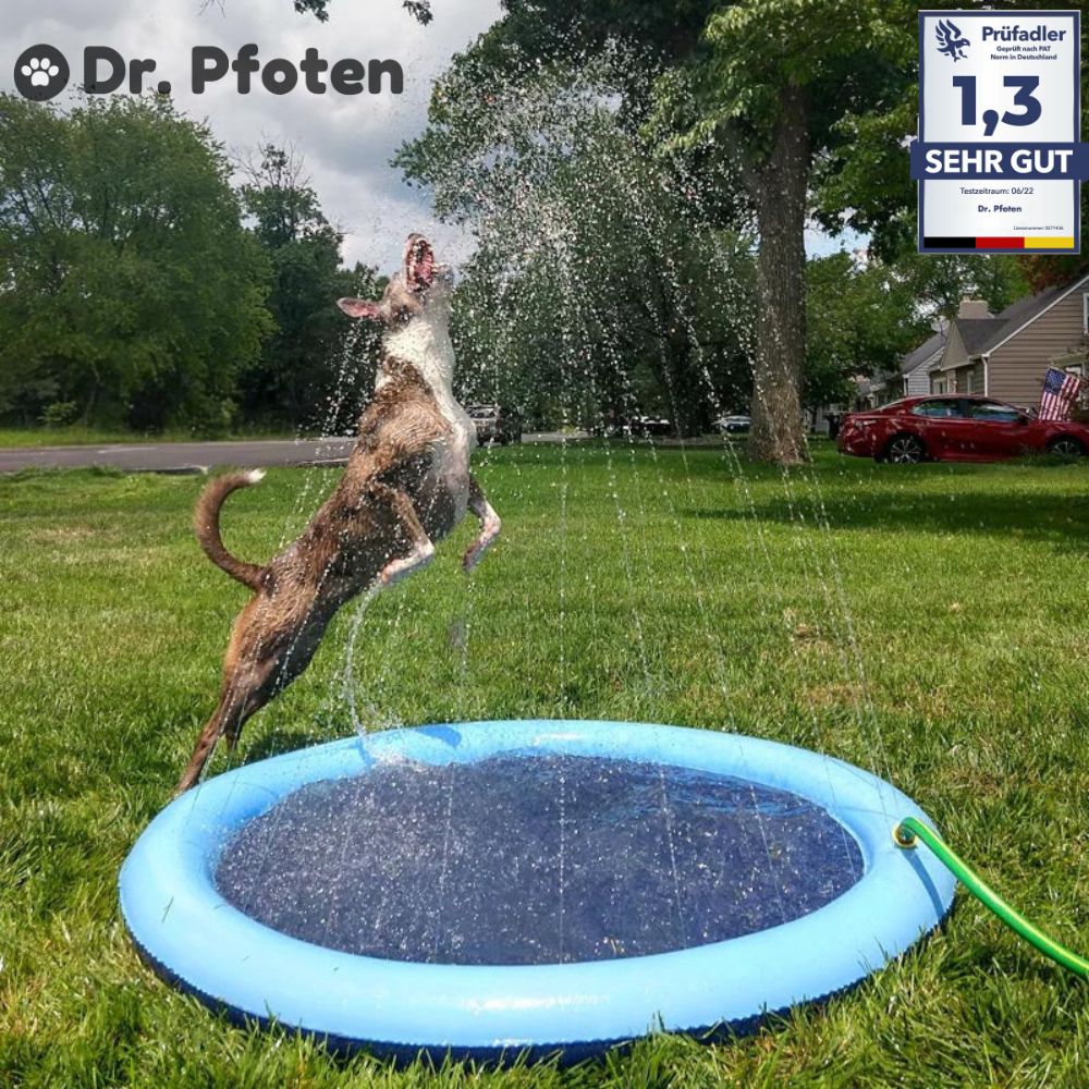 💧 PfotenOase™ - Erfrischende Wasserspielmatte für glückliche Hunde! 🐾